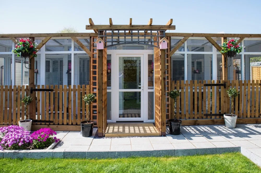Longcroft Luxury Cat Hotel Chelmsford - Essex pet otel görseli 3
