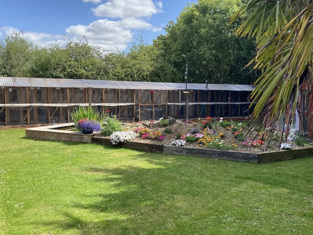 Millfields Cattery - Essex pet otel