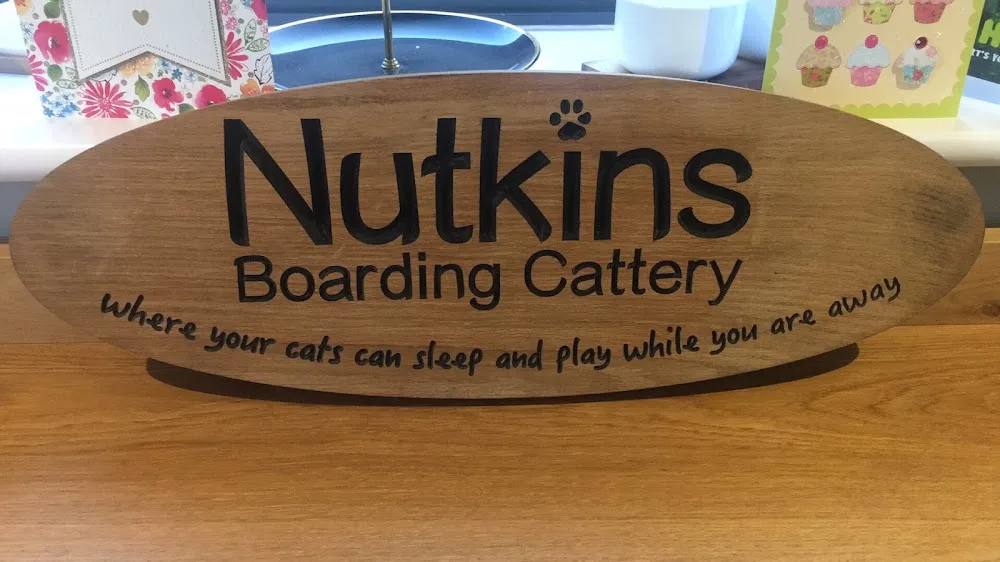 Nutkins Cattery - Essex pet otel