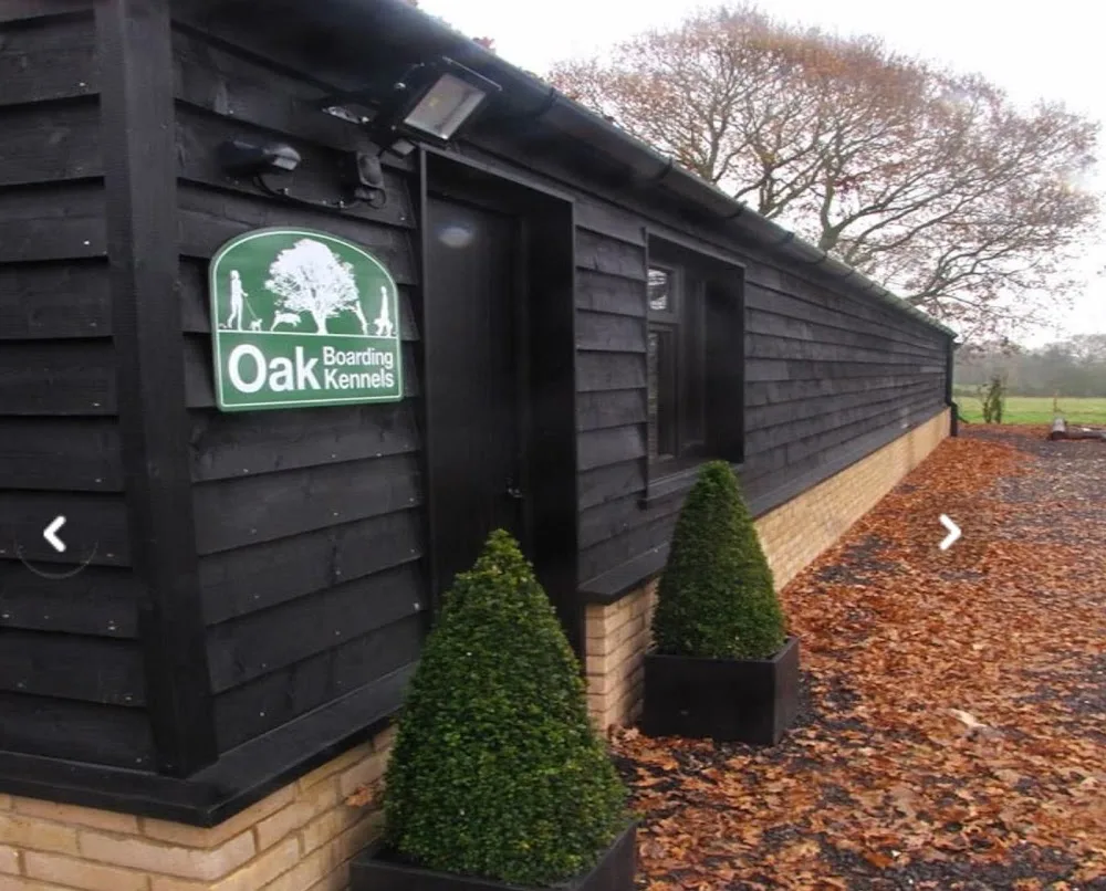 Oak Boarding Kennels Ltd - Essex pet otel görseli 3