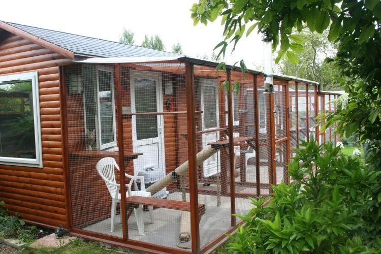 Posh Puss Palace - Essex pet otel