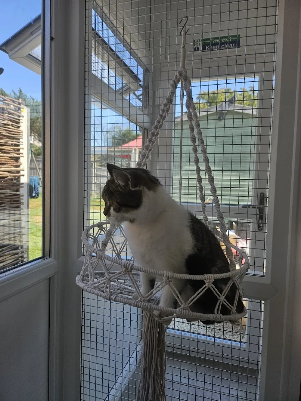 Purrfect Palace - Essex pet otel görseli 3