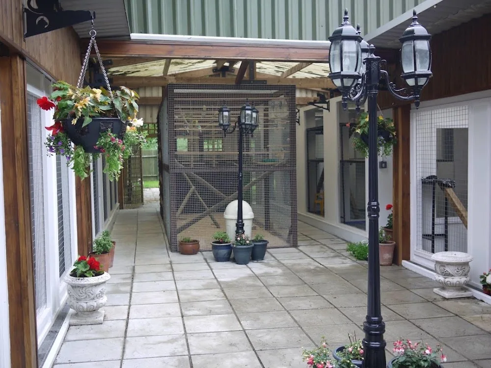 Shangri-La Cattery - Essex pet otel