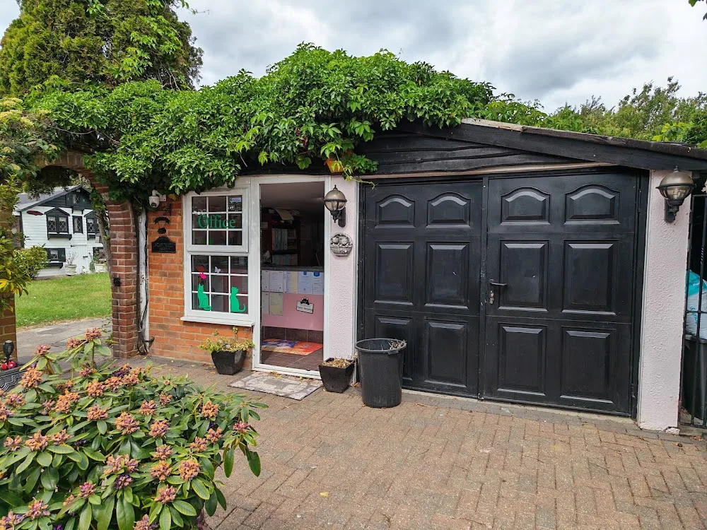 Tanglewood Boarding Cattery - Essex pet otel görseli 4