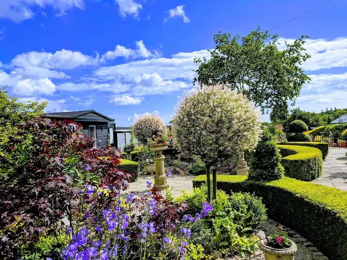 Top Cats Cattery - Essex pet otel