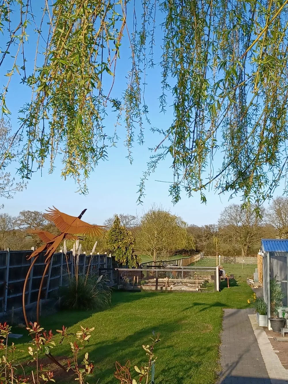 Willow Tree Cattery - Essex pet otel