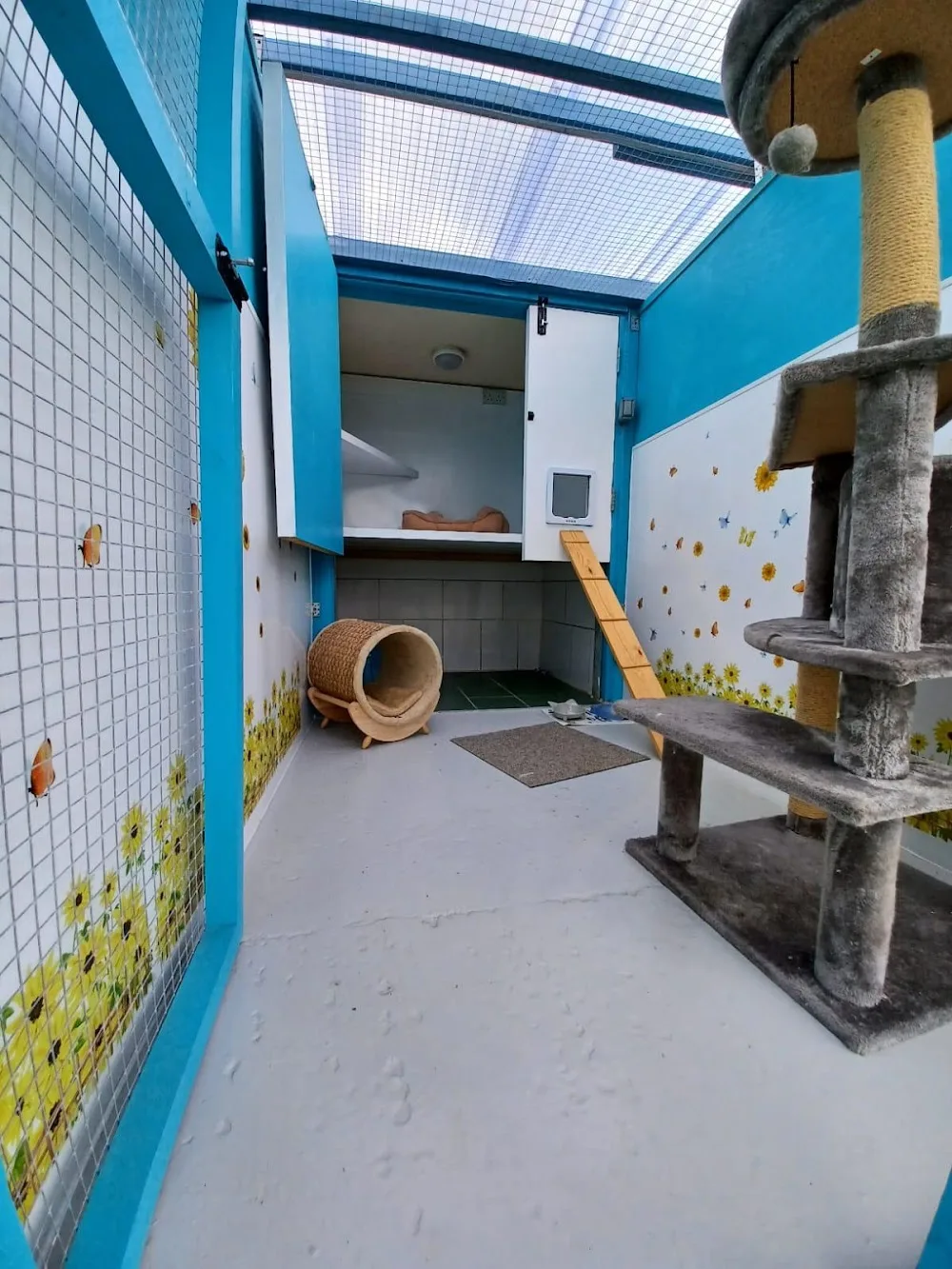 Willow Tree Cattery - Essex pet otel görseli 3