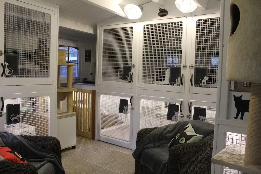 À l'Orée du Bois - Pension pour chats - Essonne pet otel görseli 3