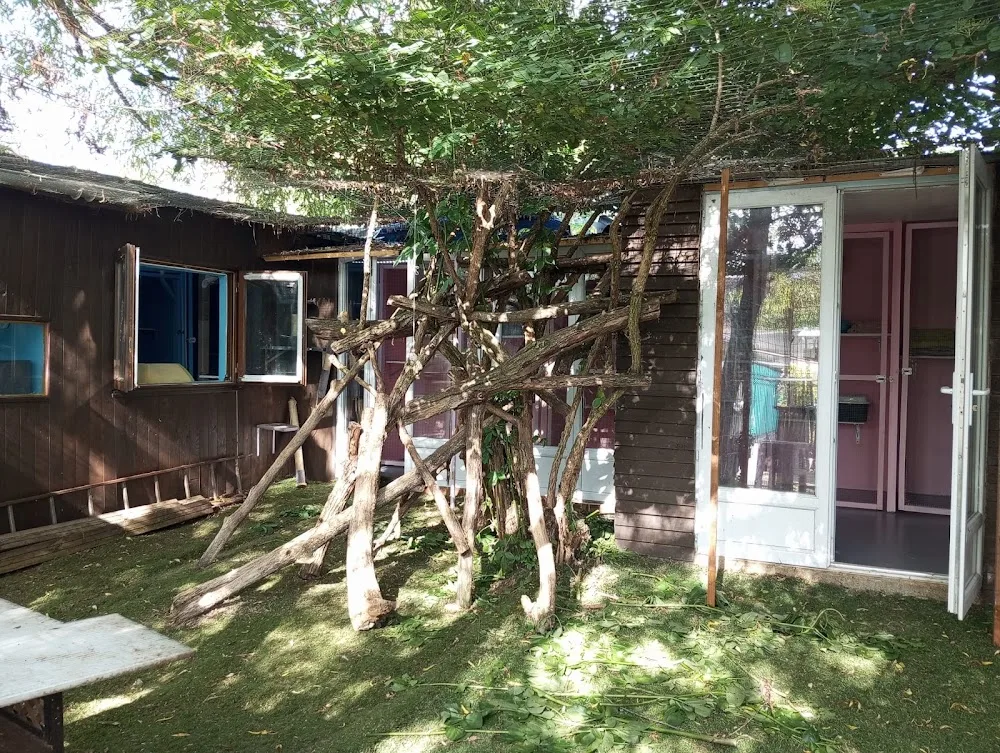 Association Le club Med des chats - Essonne pet otel