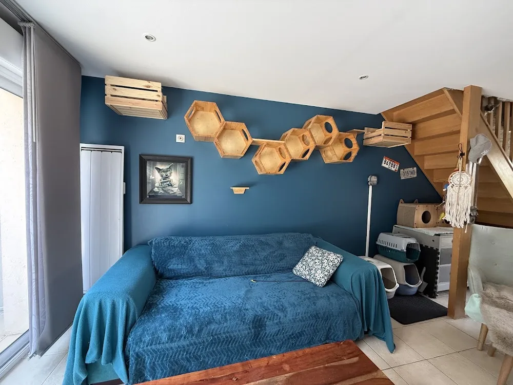 Hôtel à moustache - Essonne pet otel görseli 5