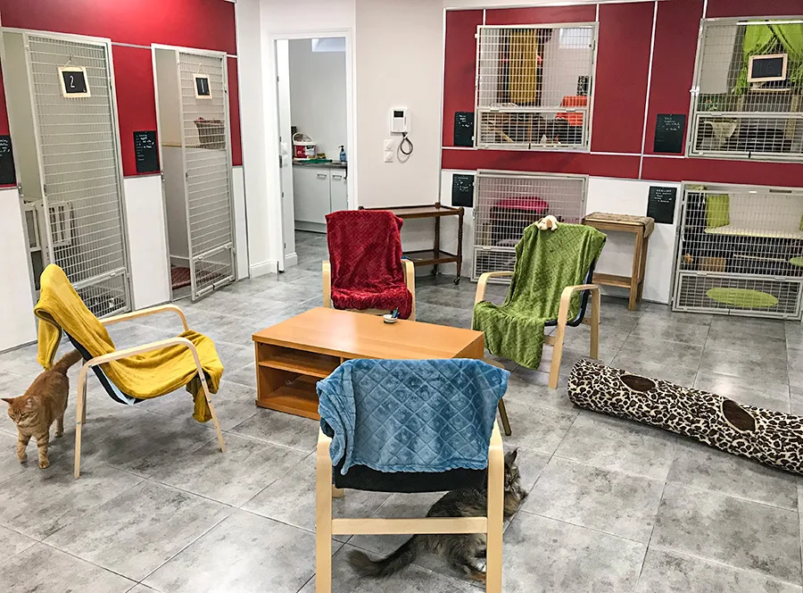 La Minouterie - Essonne pet otel görseli 9