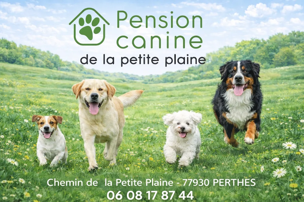 Pension canine de la petite plaine - Essonne pet otel