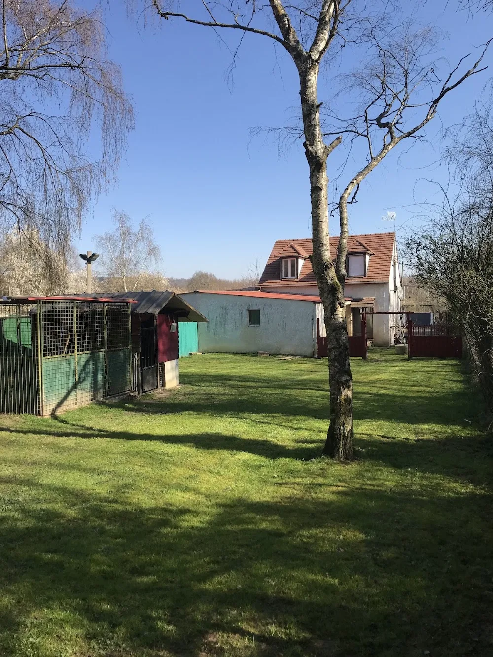 Pension Canine Scapman's - Essonne pet otel görseli 11