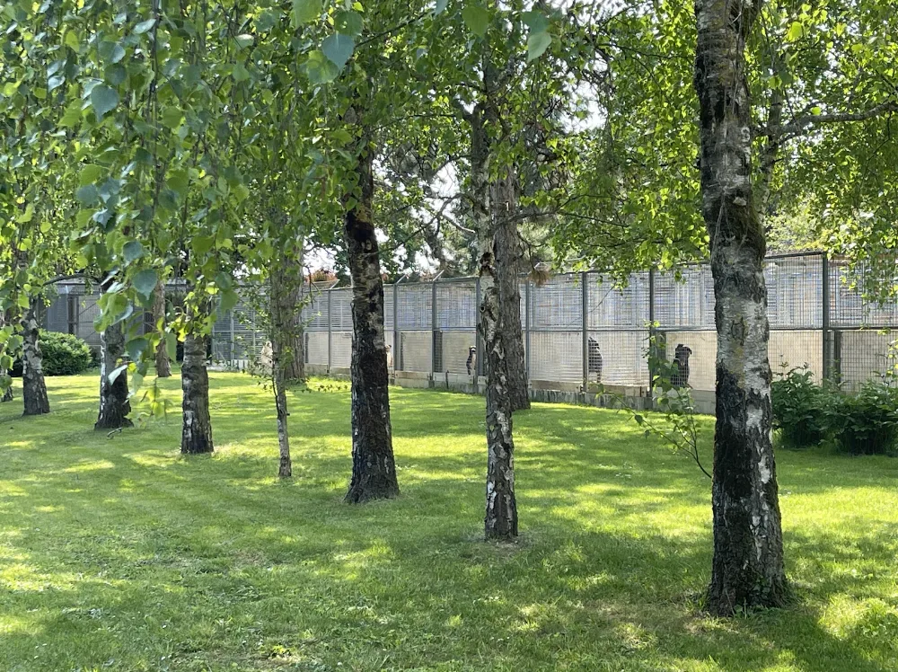 Pension Pour Tous - Essonne pet otel görseli 7