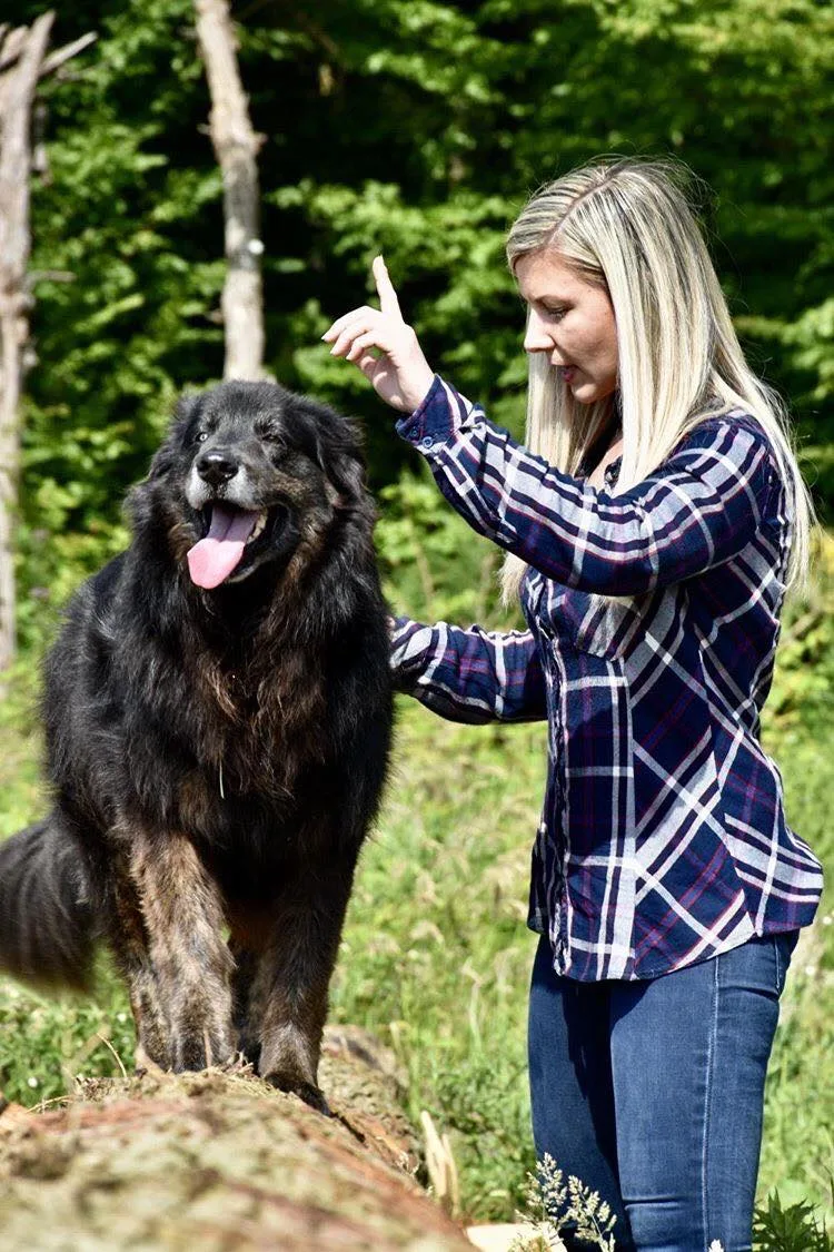 Respect-Animal - Justine COURTECUISSE - Educatrice Comportementaliste Canine - Pension canine familiale - Essonne pet otel görseli 3