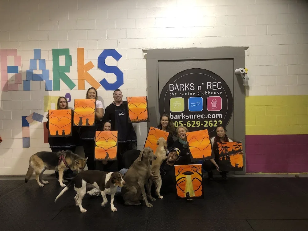 Barks n' Rec - Etobicoke pet otel görseli 3