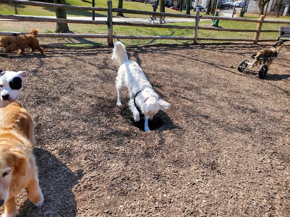 Bow Wow Meow Petcare - Etobicoke pet otel görseli 3