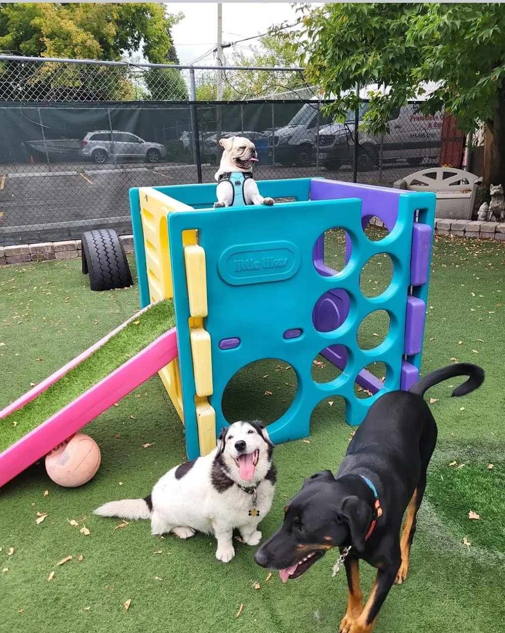 Great Woof Lounge and Spa - Etobicoke pet otel