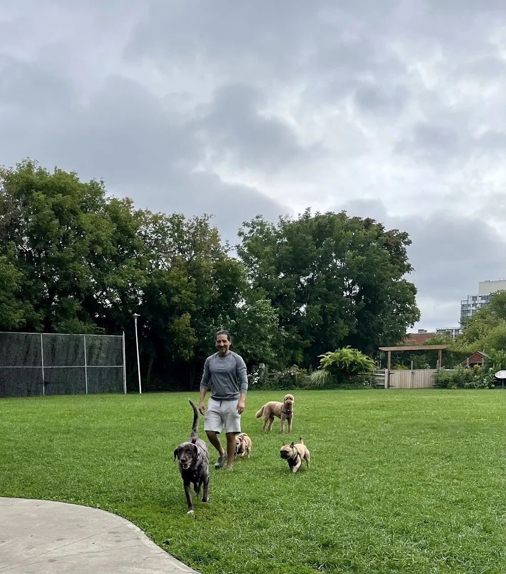 Toronto Junction Dog Boarding - Etobicoke pet otel görseli 2