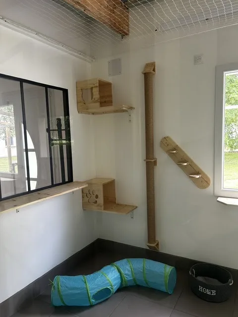 CAT LOFT - Eure pet otel görseli 3