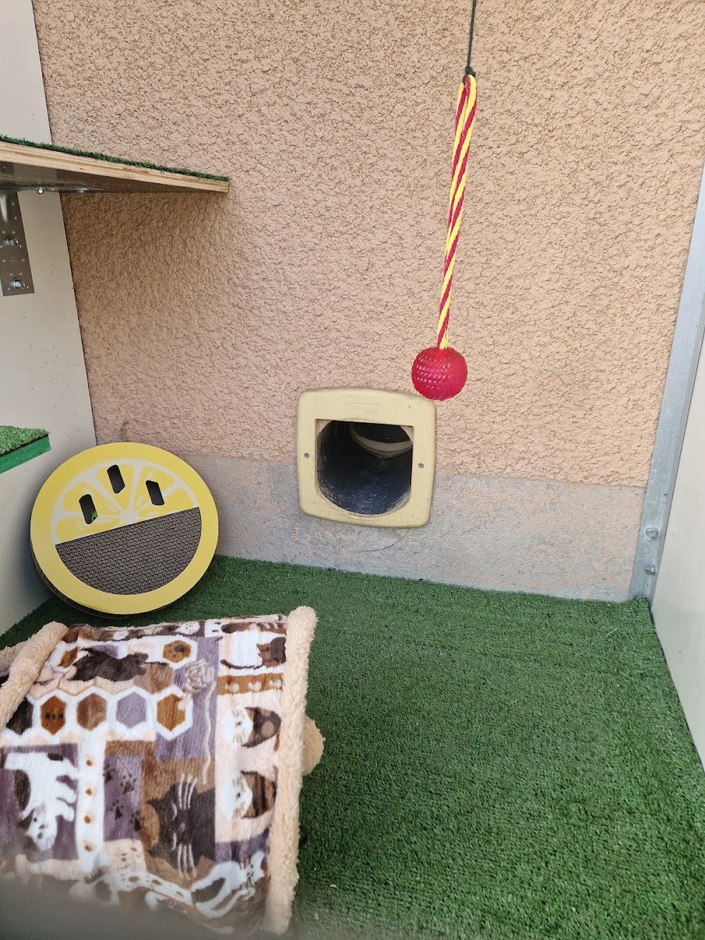 Club Meddcat - Eure pet otel görseli 3