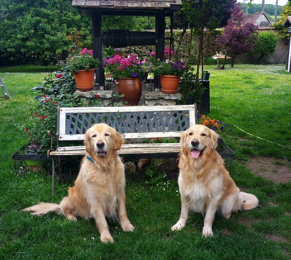 Elliot & Co - Pension familiale chiens et chats - Eure pet otel