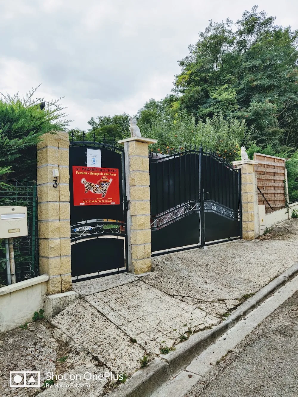 Au Paradis Des Chats - Pension Féline A Jouy - Eure-et-Loir pet otel görseli 3
