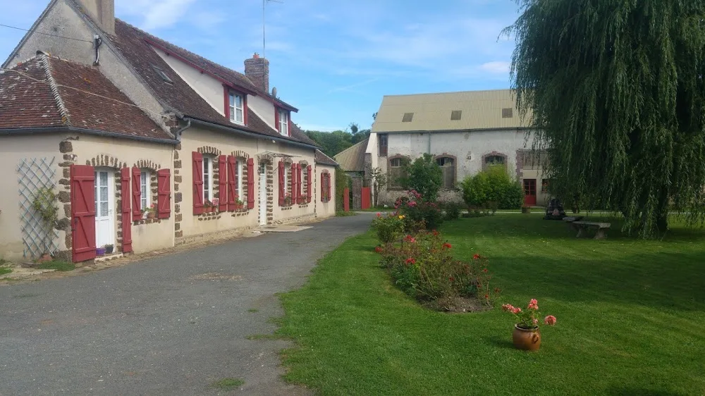pension canine et feline - Eure-et-Loir pet otel