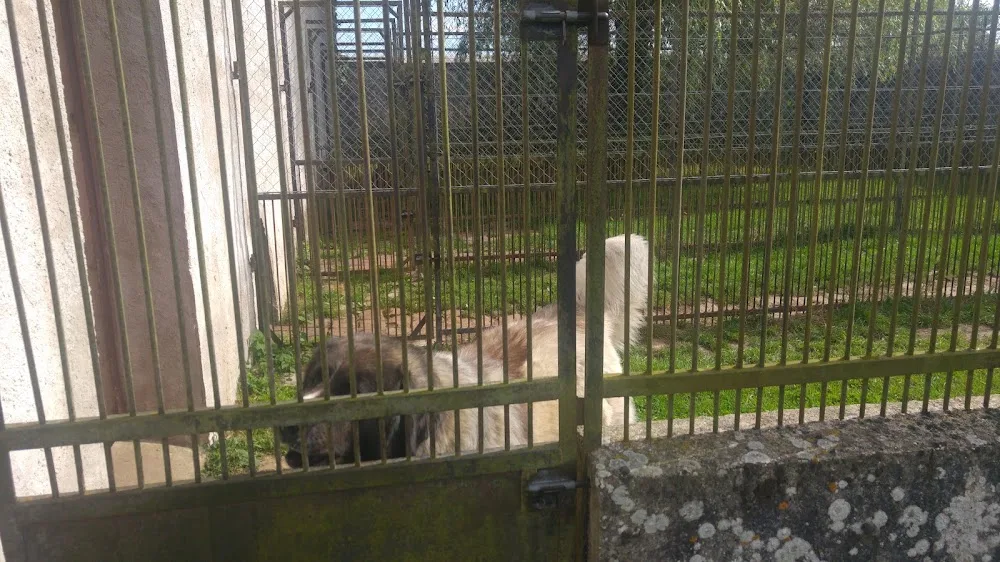 pension canine et feline - Eure-et-Loir pet otel görseli 3