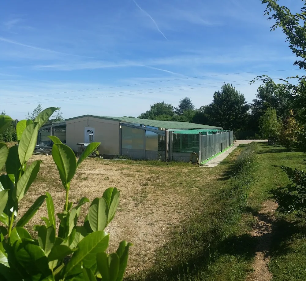 PENSION CANINE - Eure-et-Loir pet otel görseli 3