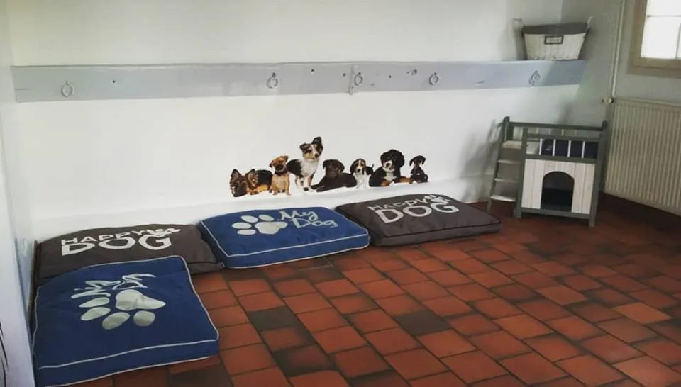Vacances De Wouf - Eure-et-Loir pet otel görseli 3