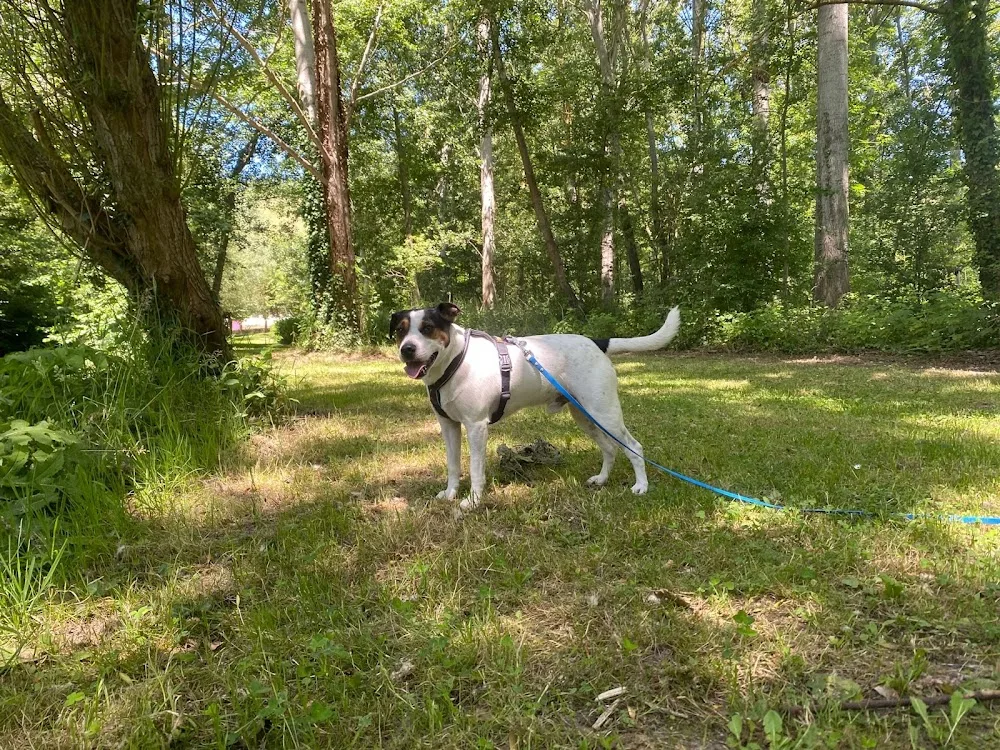 Giver'Niche - Eure pet otel