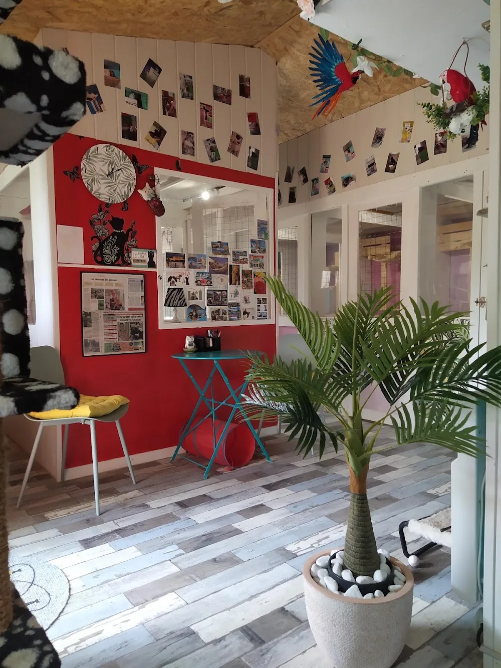 La Chalonie - Eure pet otel görseli 3