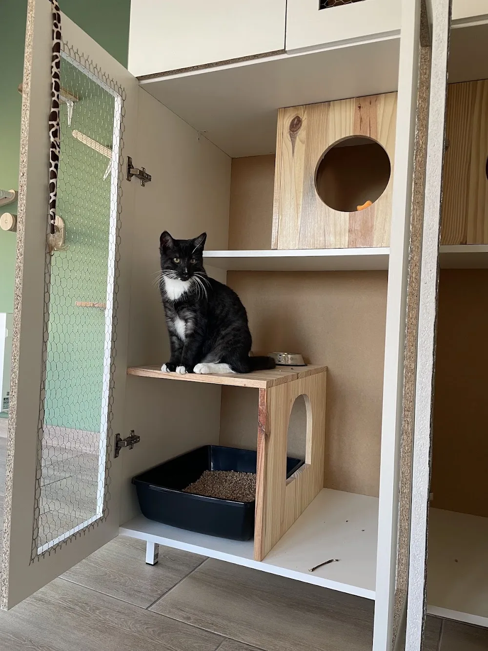 Les Chats à Gilles - Eure pet otel görseli 3