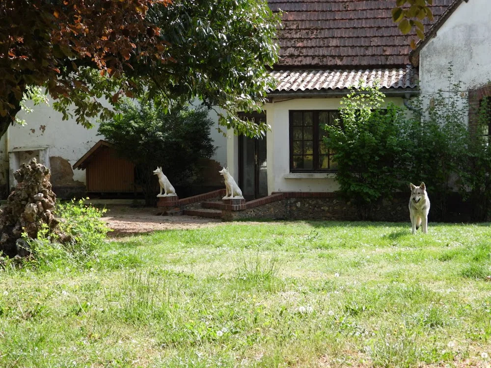 Pension canine la Forêt des Bergers - Eure pet otel görseli 3