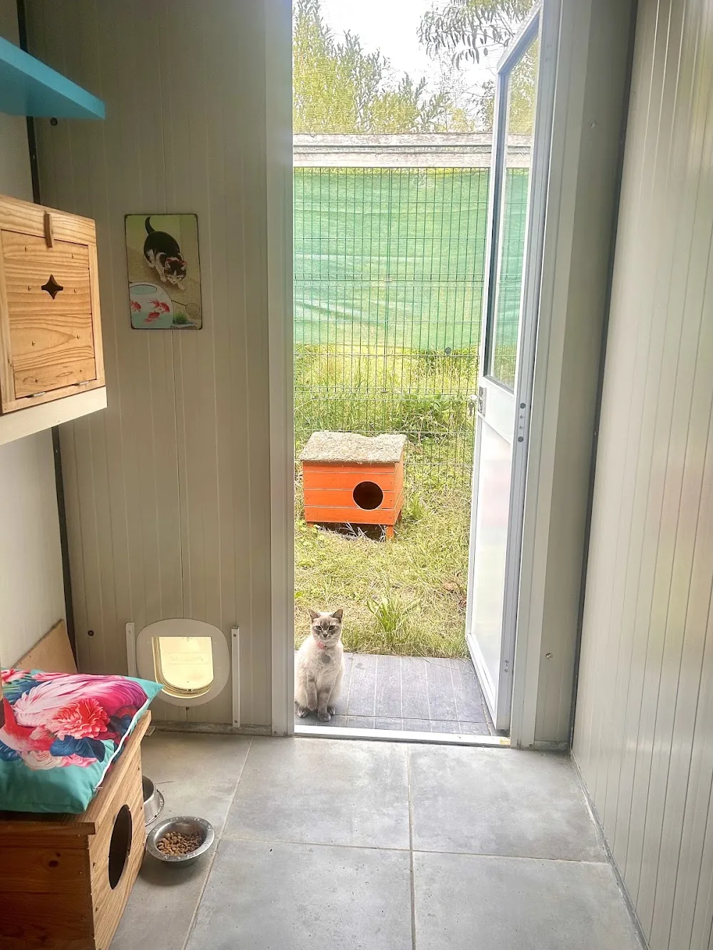 Pension Féline Chez Shami - Eure pet otel görseli 2