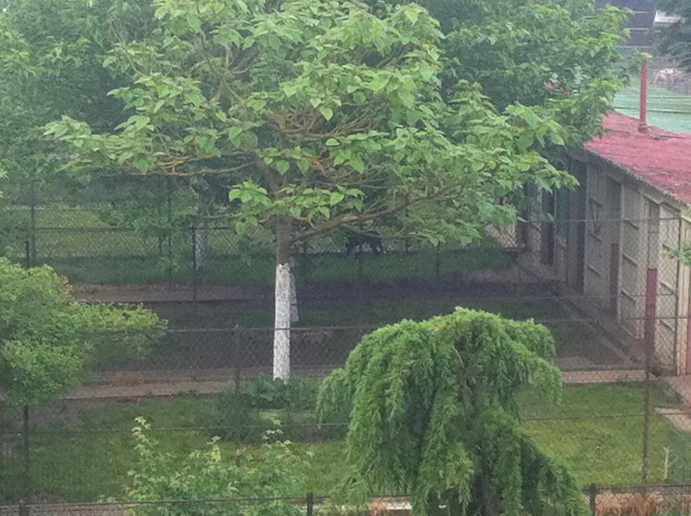 Pension Paris-Normandie - Eure pet otel görseli 6