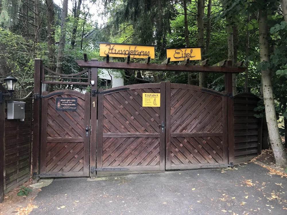 Hunde-Farm "Eifel" Daniela Sommerfeld - Euskirchen pet otel görseli 3