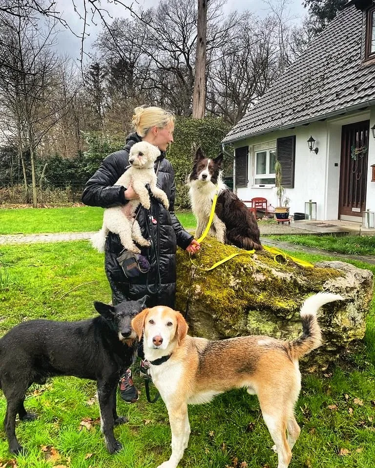 Hundehotel zum alten Forsthaus - Euskirchen pet otel