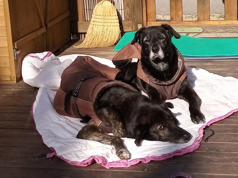 Hundepension-Mechernich - Euskirchen pet otel