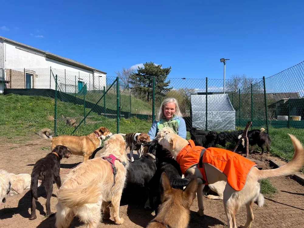 Hundetagesstätte Euskirchen - Euskirchen pet otel görseli 2