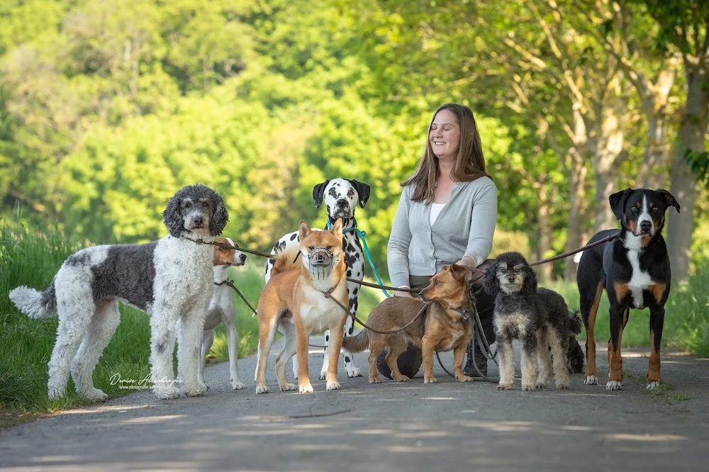 LiJaNa´s Hundeservice - Euskirchen pet otel