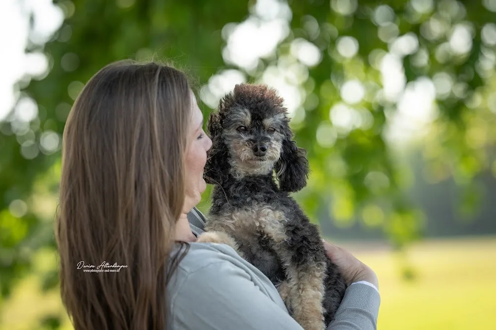 LiJaNa´s Hundeservice - Euskirchen pet otel görseli 3