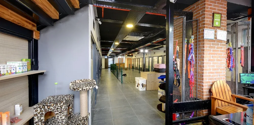 Evcilim Kedi ve Köpek Oteli - Bursa pet otel görseli 5