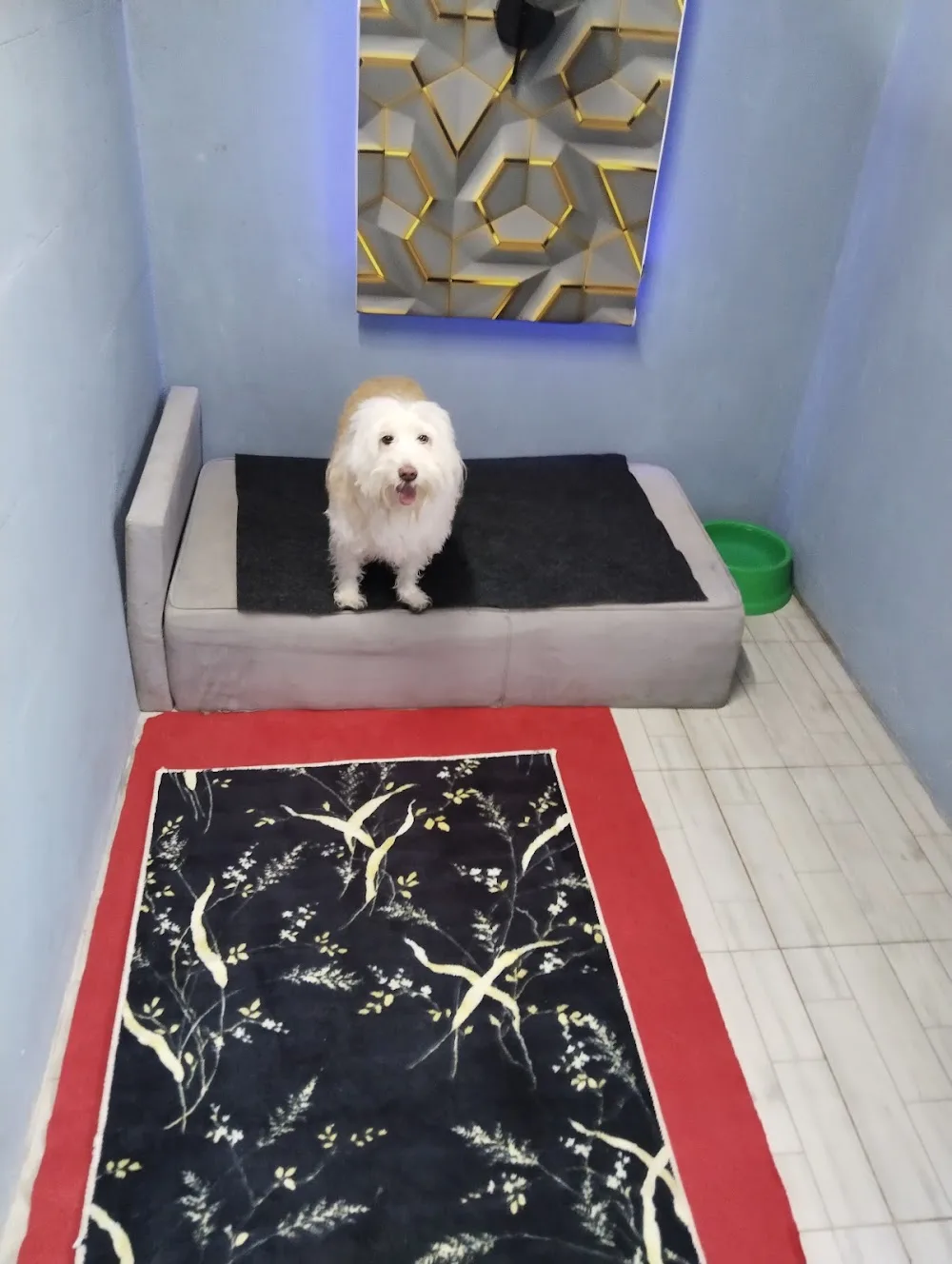 EXPO PET OTEL ANTALYA - xPet Otel görseli 3