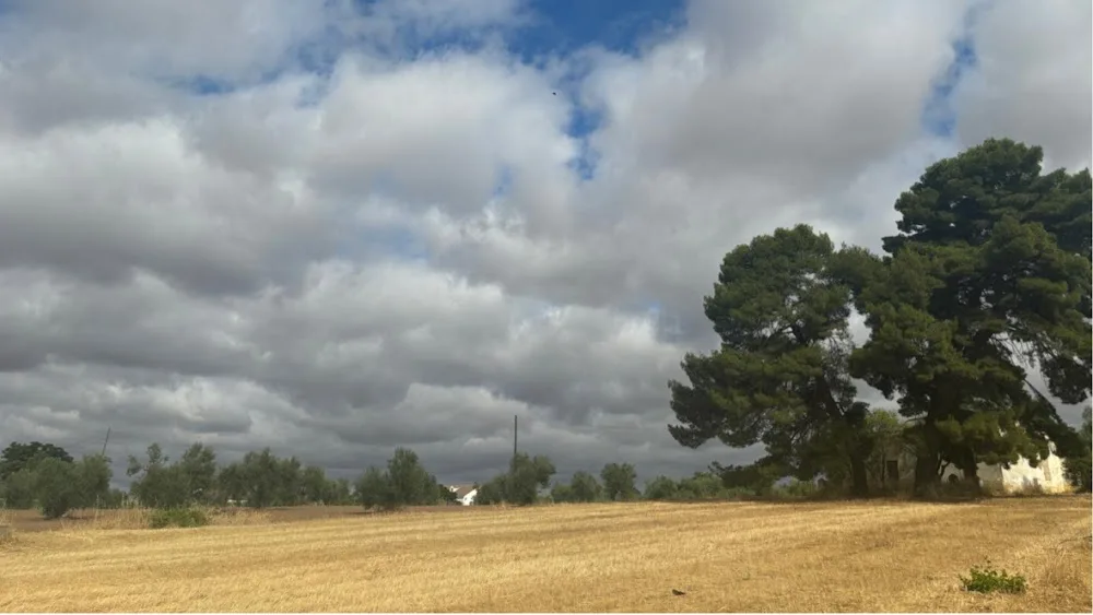Paraje Animal Resort - Extremadura pet otel