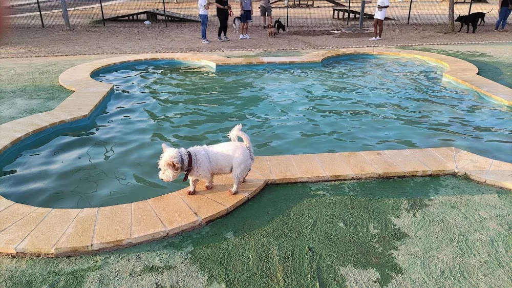Parque Canino Villanueva de la Serena - Extremadura pet otel görseli 3