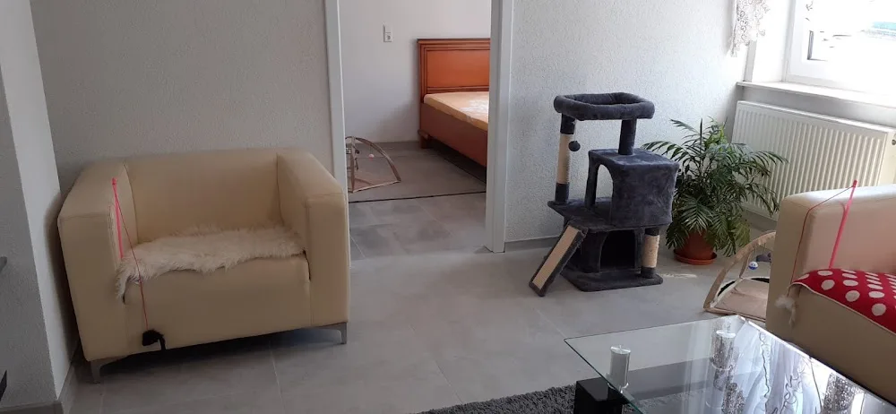 Berei's Katzenpension - Falkenstein/Vogtl pet otel