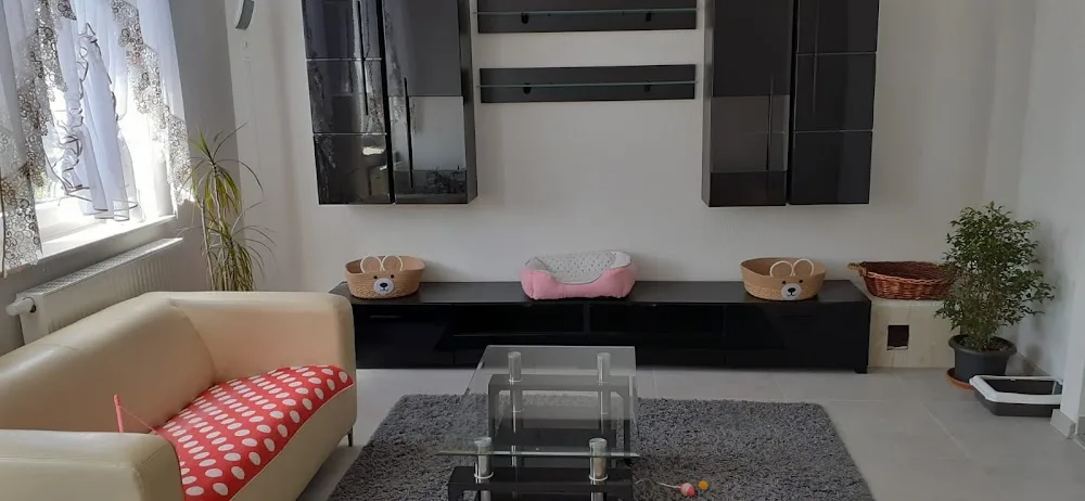 Berei's Katzenpension - Falkenstein/Vogtl pet otel görseli 3