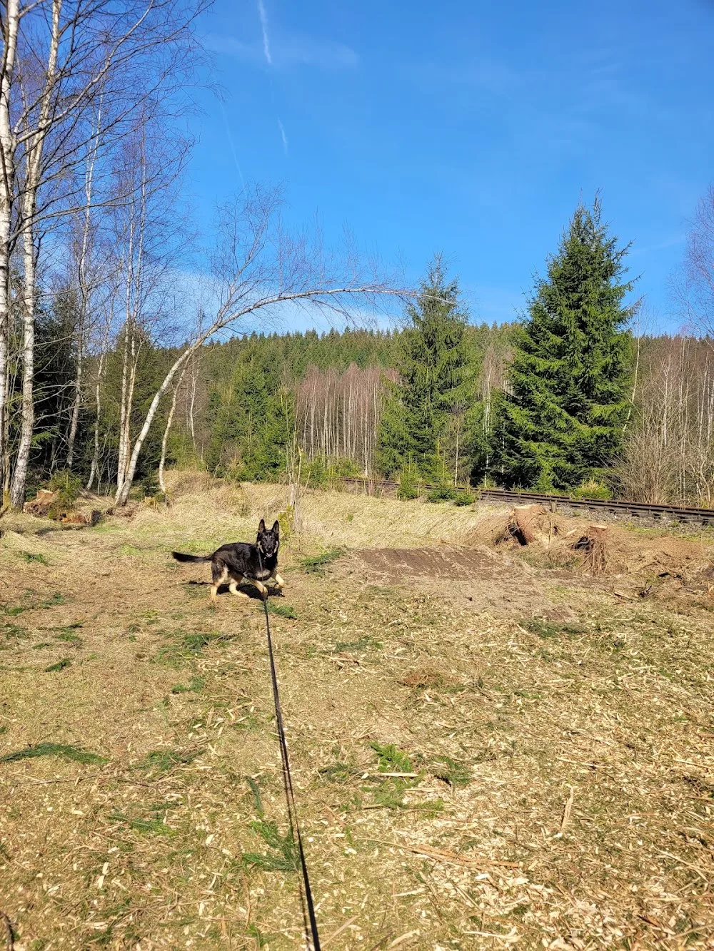 Hundepension Am Hochmoor - Falkenstein/Vogtl pet otel görseli 3